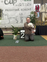 Pristina_231129_2