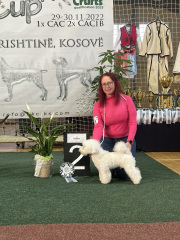 Pristina_231130_1