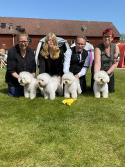Hassleholm_20230514_5