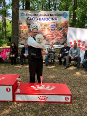 batonica230528