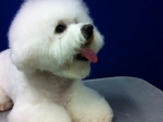 thumbs_140620-lotta-4
