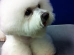 thumbs_140620-lotta-5