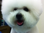 thumbs_140703-lotta-head-1