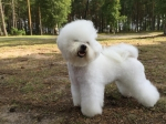 thumbs_150905-lotta-profil-3