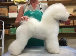 thumbs_150730-lotta-profil-1